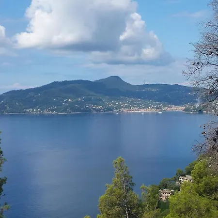 Vicino A Portofino E Alle Cinque Terre - Near Portofino And Cinque Terre Zoagli