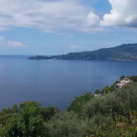 Apartment Vicino A Portofino E Alle Cinque Terre - Near Portofino And Cinque Terre *
